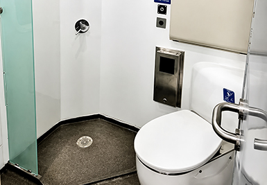 Toilet Modules